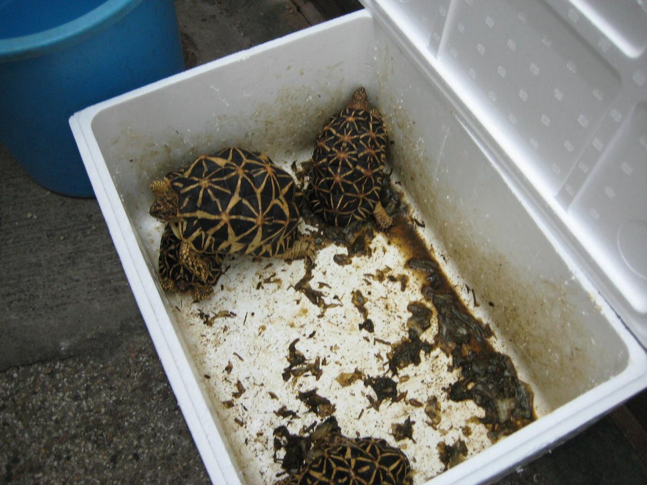 f0013998_6345824.jpg