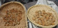 e0122199_15502888.jpg