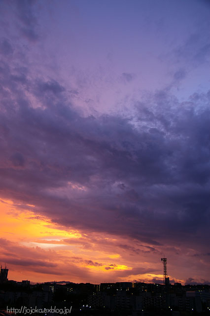 e0008800_1158568.jpg