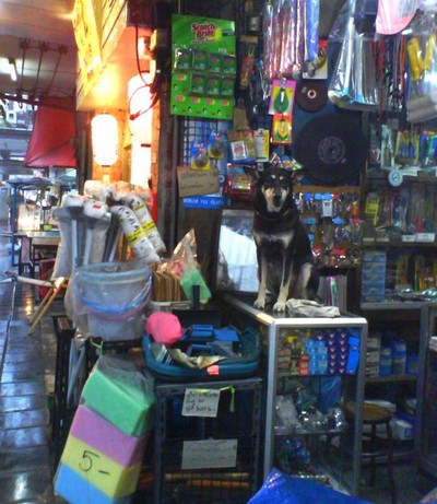e0007801_12281743.jpg