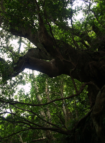 e0089001_21474142.jpg