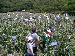 e0093407_18111776.jpg