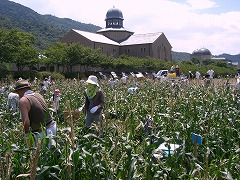 e0093407_18121893.jpg