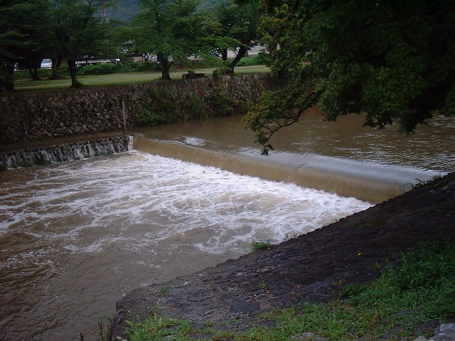 f0173908_663266.jpg