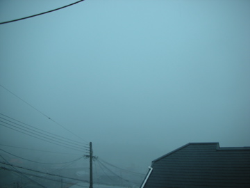 c0145209_1235622.jpg