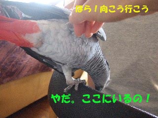 c0133013_14113792.jpg