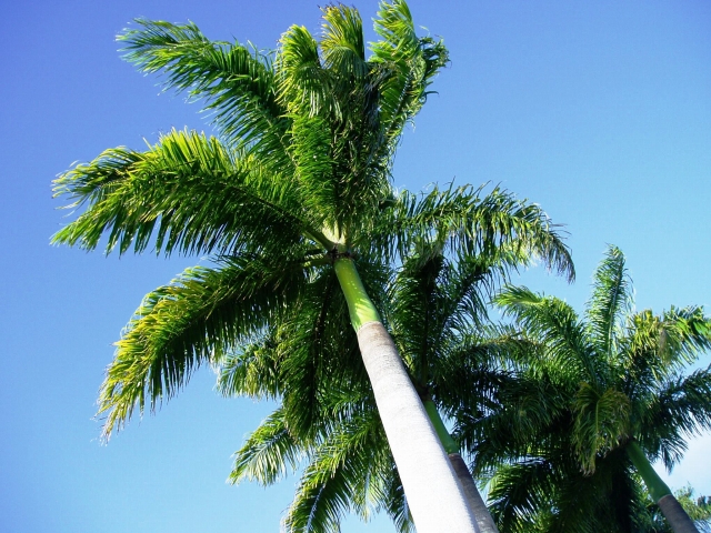 a0000014_16575920.jpg