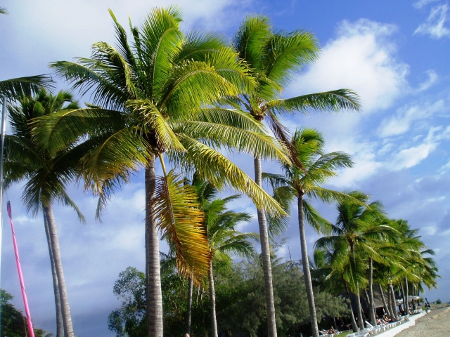 a0000014_16581867.jpg