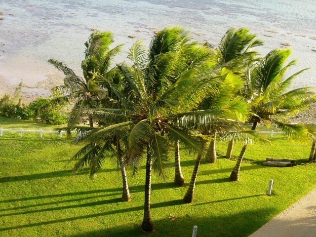 a0000014_16582912.jpg