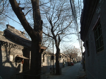 d0111714_15224129.jpg