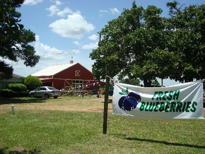 f0006724_0523623.jpg