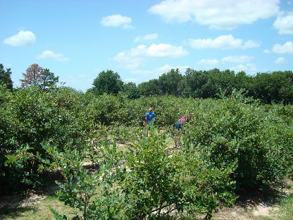 f0006724_0594798.jpg