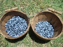 f0006724_117593.jpg