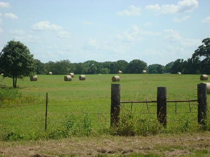 f0006724_8531782.jpg