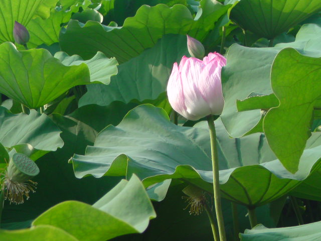 e0016828_23141638.jpg
