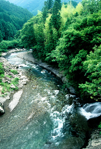 d0147530_6203062.jpg