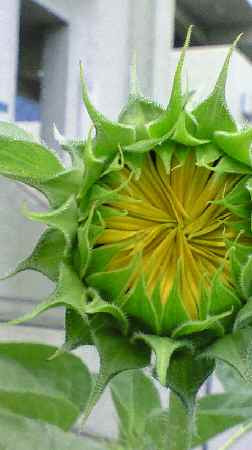 c0133533_23451664.jpg