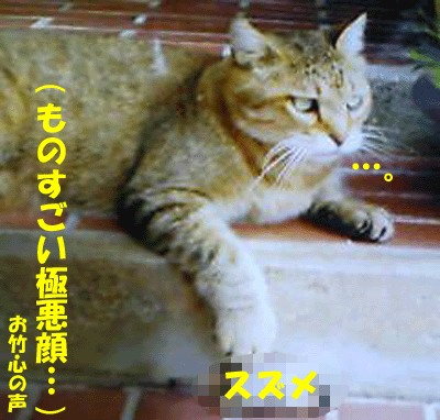 f0008935_14573941.gif