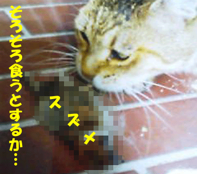 f0008935_14575123.gif