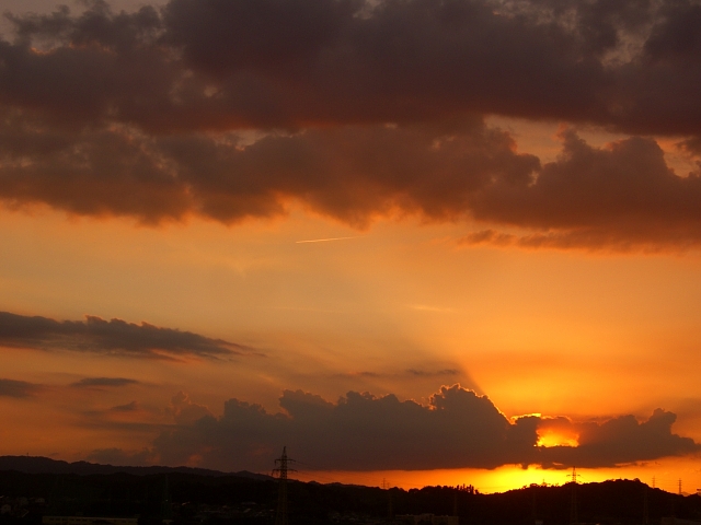 b0029438_021247.jpg