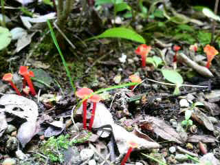 b0129041_18322290.jpg