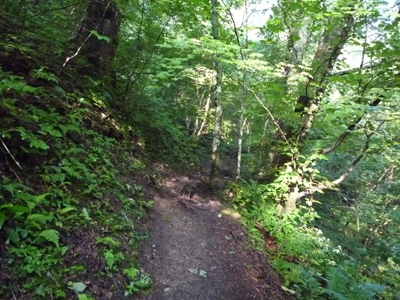 b0045357_85417.jpg