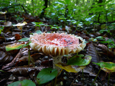 b0045357_862268.jpg