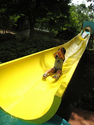 d0078060_53389.jpg