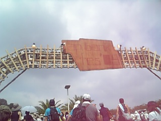 d0060163_10277.jpg