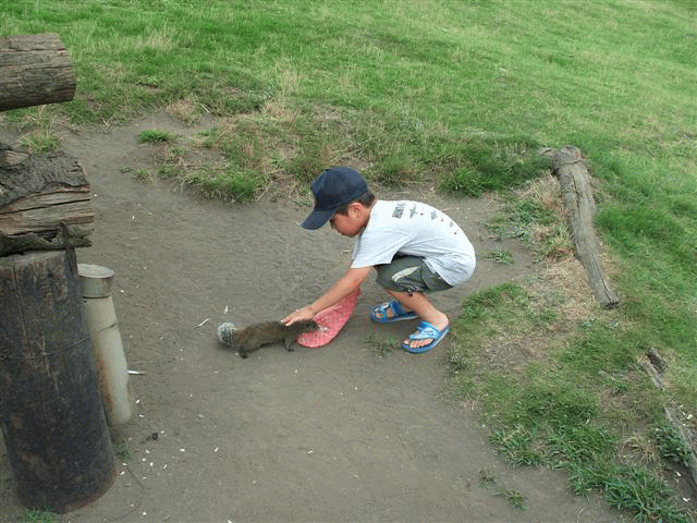 d0098363_3151383.gif