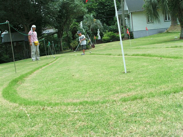 d0098363_336568.gif