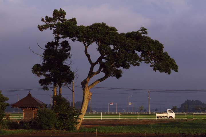 e0067463_523478.jpg