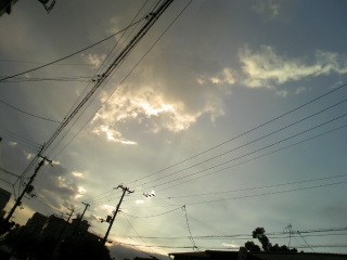 e0081772_984571.jpg