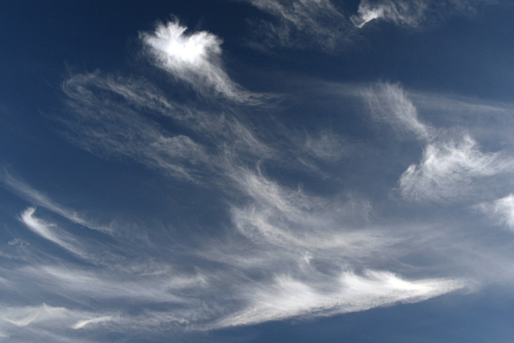 e0100772_23235739.jpg