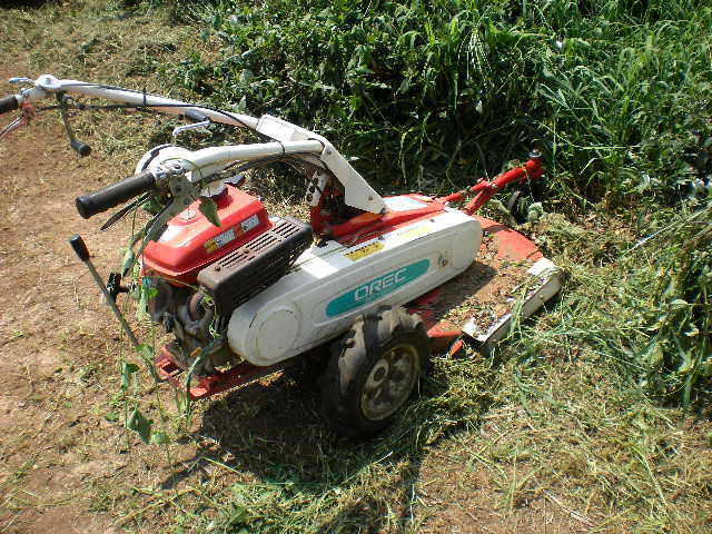 d0040076_12382560.jpg