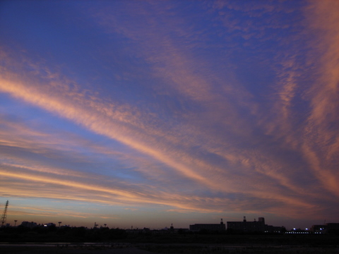 a0043982_18382686.jpg