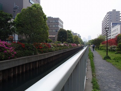 c0105785_1018679.jpg