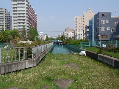 c0105785_10351564.jpg