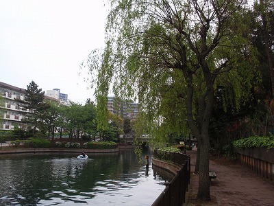 c0105785_8475726.jpg