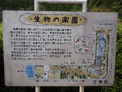 c0105785_9215559.jpg