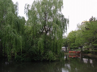 c0105785_9241849.jpg
