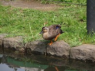 c0105785_9323118.jpg