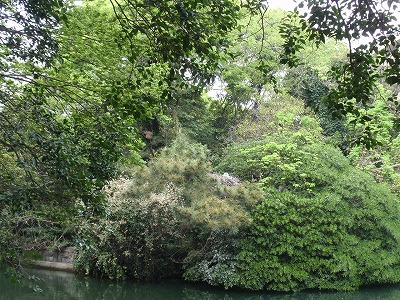 c0105785_933160.jpg
