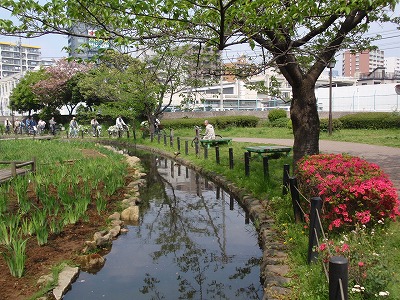 c0105785_934259.jpg