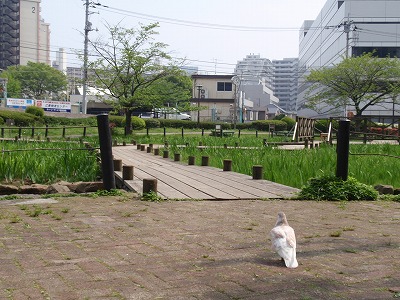 c0105785_9353082.jpg
