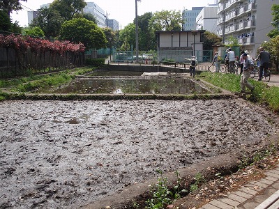 c0105785_9411279.jpg