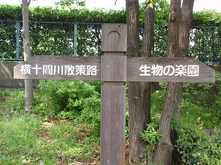 c0105785_9503528.jpg