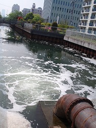 c0105785_9541075.jpg