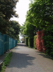 c0105785_954215.jpg