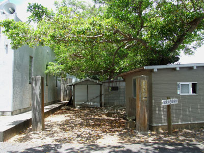 e0028387_23374323.jpg